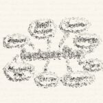 Building and Scaling a Design System in Figma: A Case Study